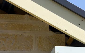 soffit repair Portsonachan